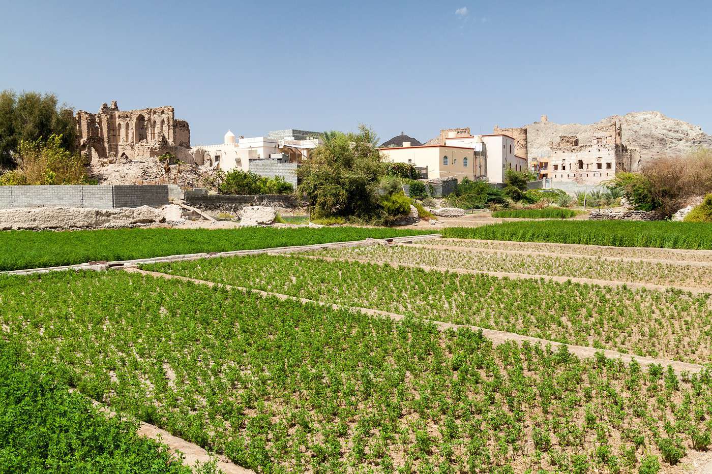 Ibra, Oman