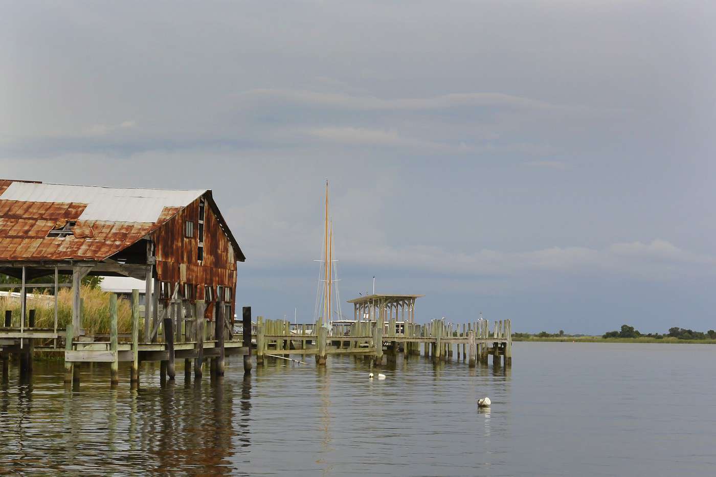 For&ecirc;t nationale d'Apalachicola, Floride, &Eacute;tats-Unis