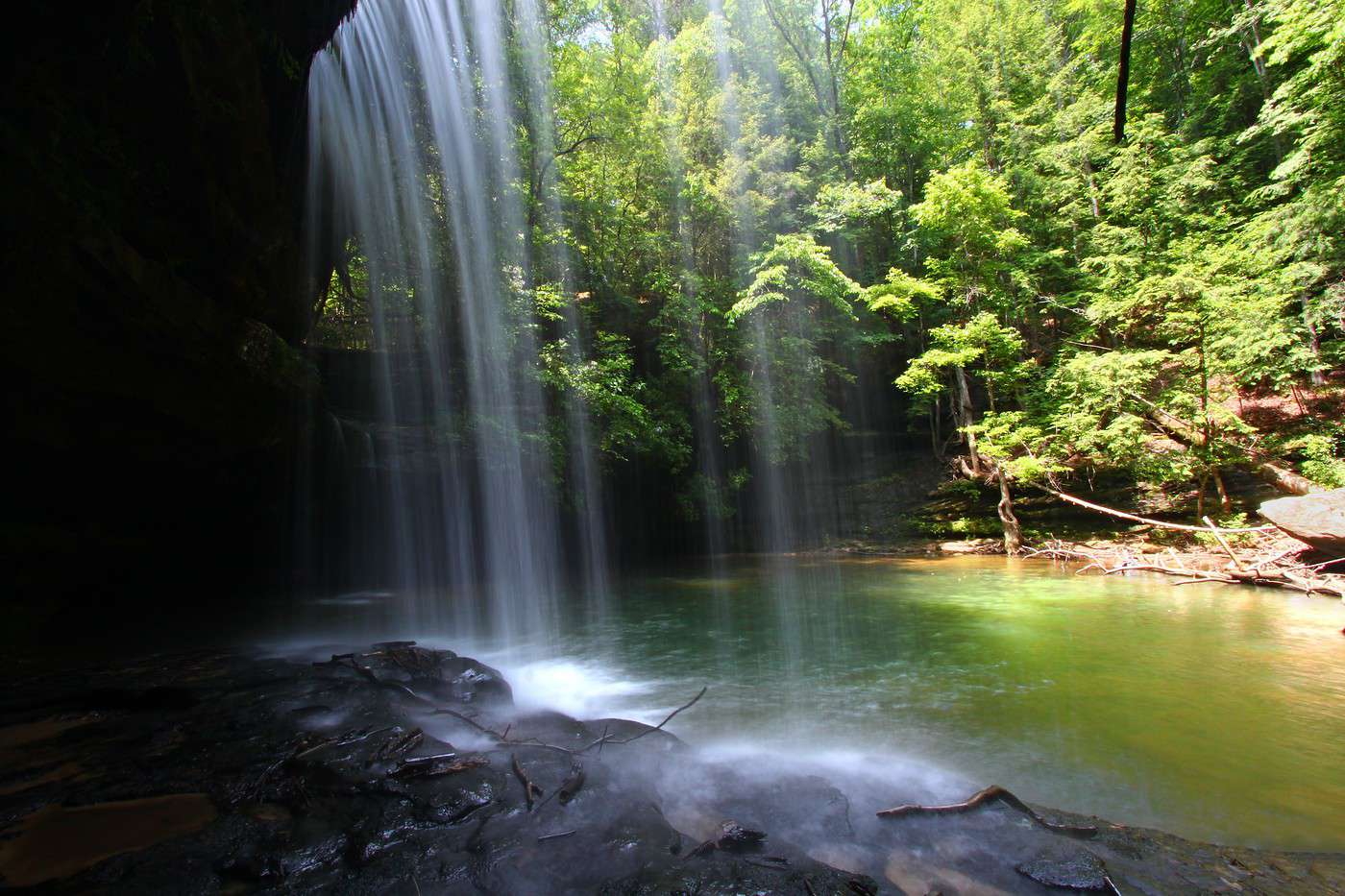 Sipsey Wilderness, Alabama, États-Unis Sipsey Wilderness, Alabama, États-Unis