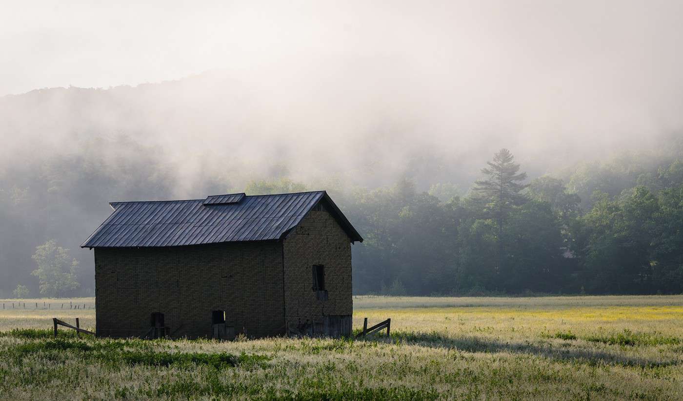 Forêt de Monongahela, Virginie Occidentale, États-Unis