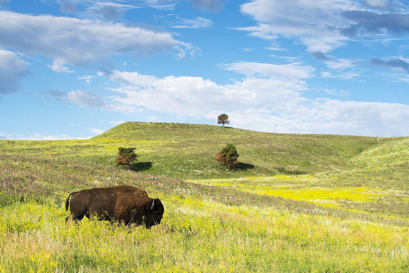 Black Hills, Dakota du Sud, États-Unis