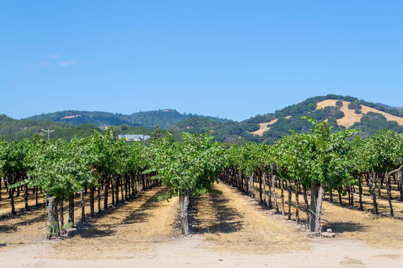 Sonoma Valley, Californie, &Eacute;tats-Unis