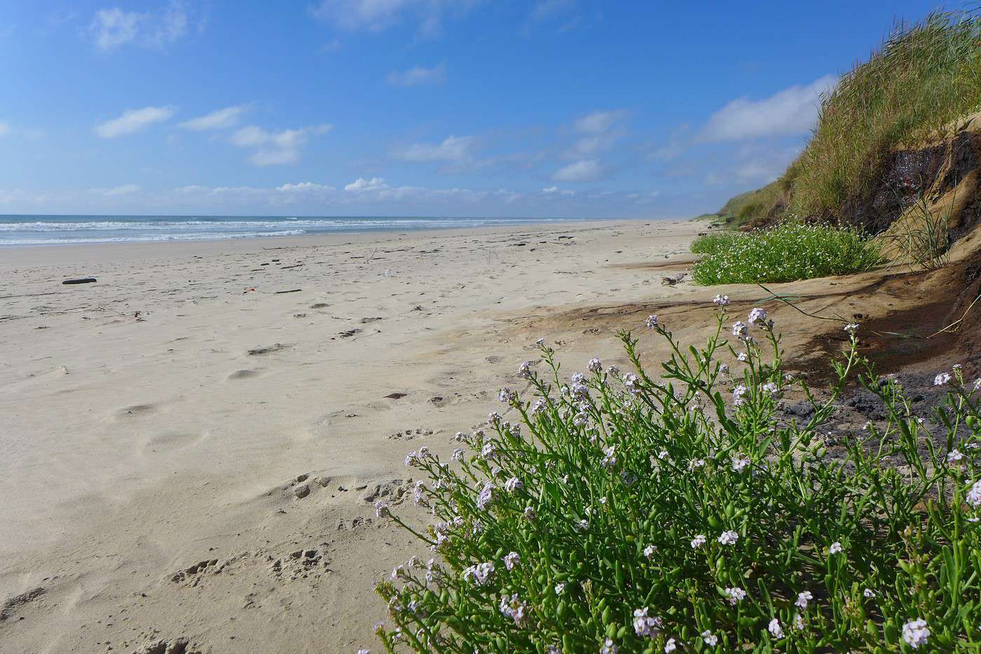 Montalivet, Gironde, France