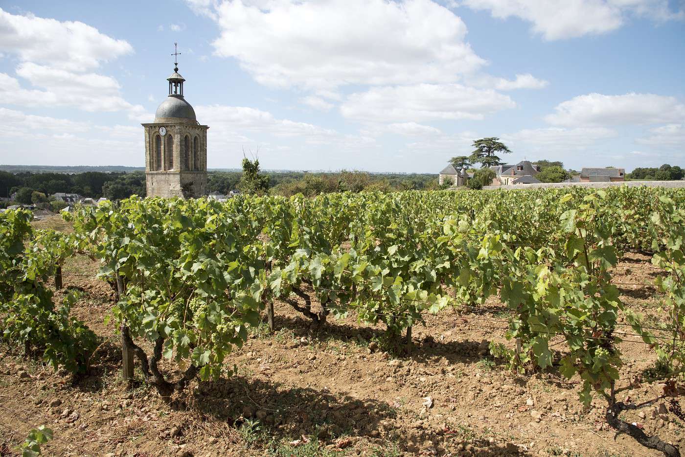 Vouvray, Indre-et-Loire, France