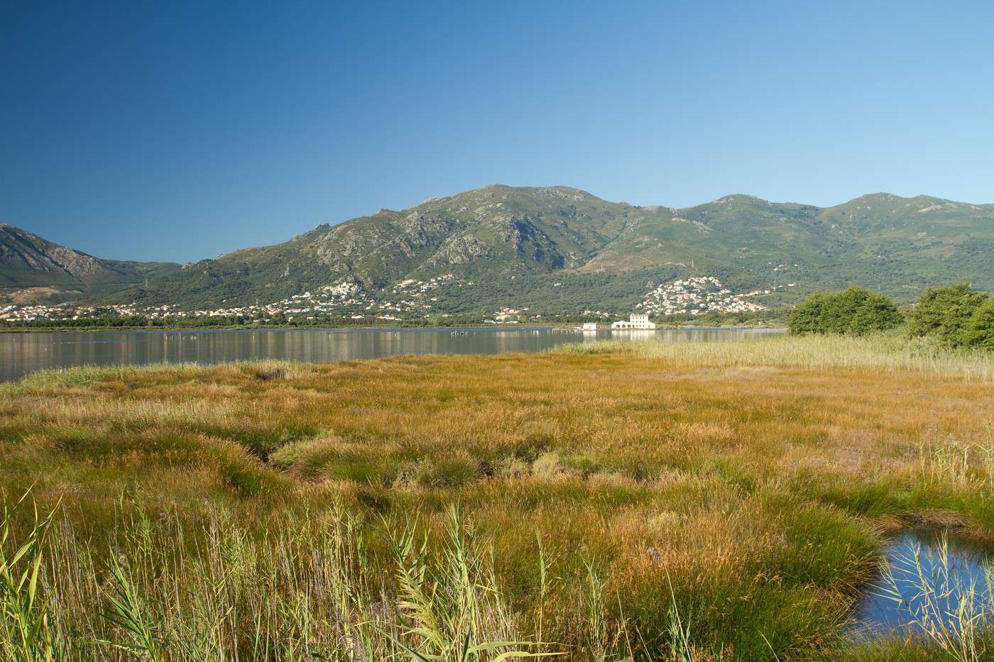 Réserve naturelle de l'étang de Biguglia, France