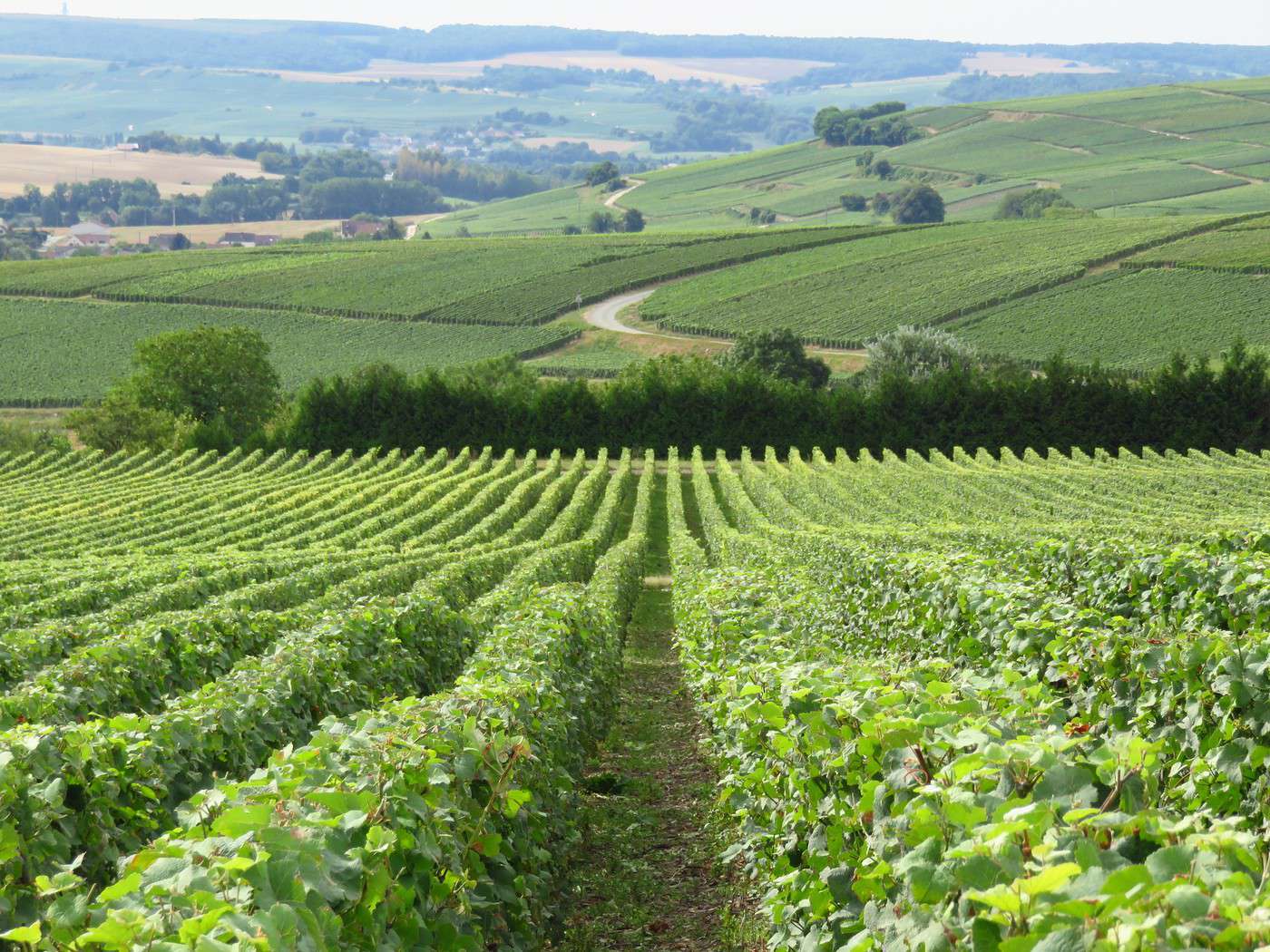 Coteaux, maisons et caves de Champagne (route touristique de la France