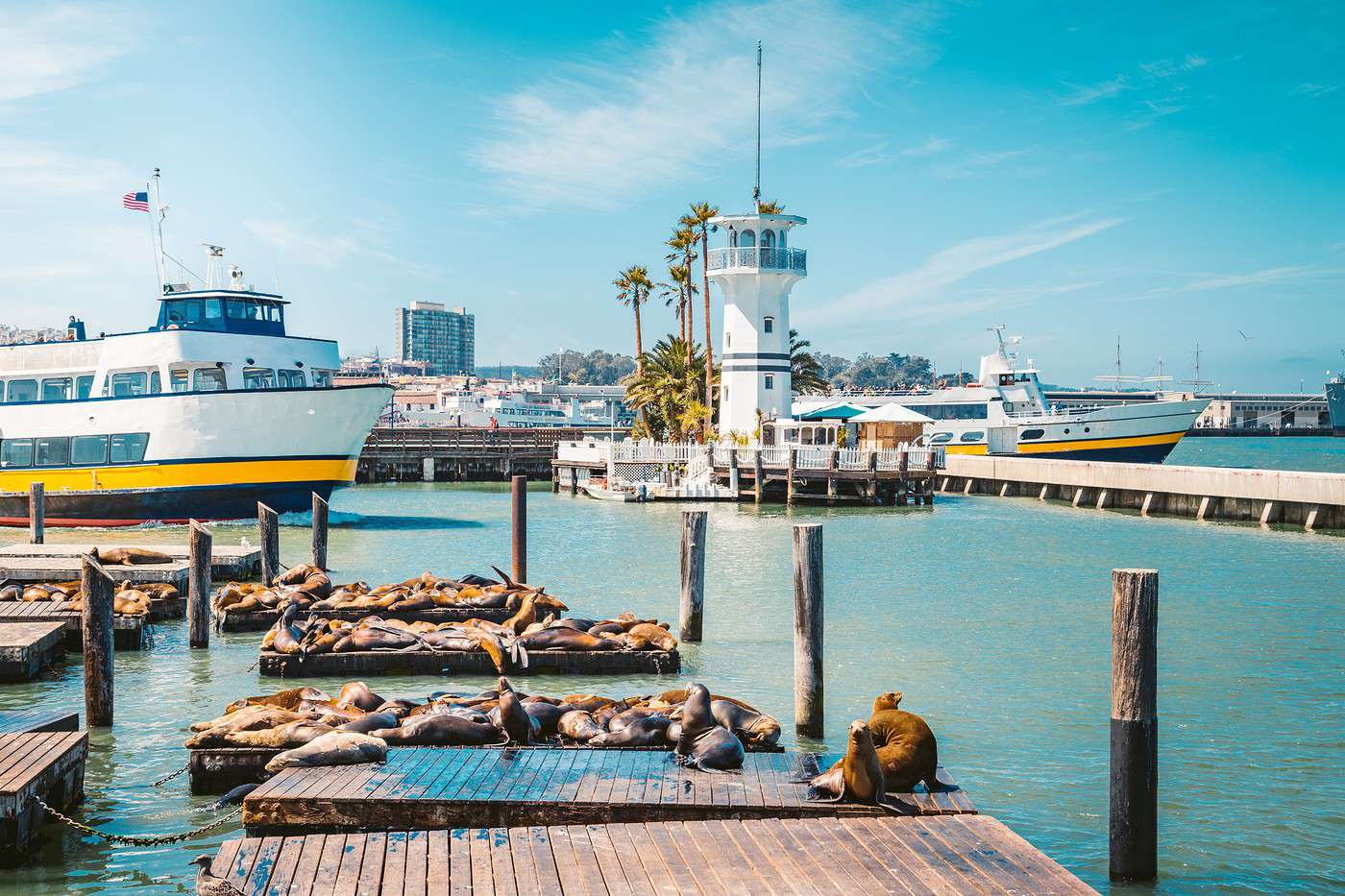 Fisherman's Wharf, San Francisco, Californie, États-Unis