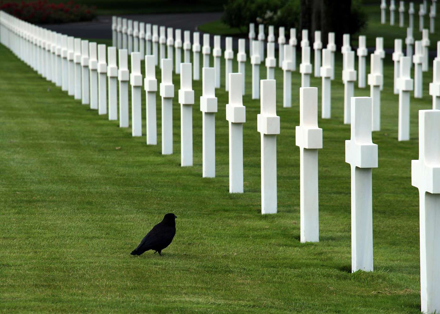 Cimeti&egrave;re am&eacute;ricain de Saint-Avold, Moselle, France