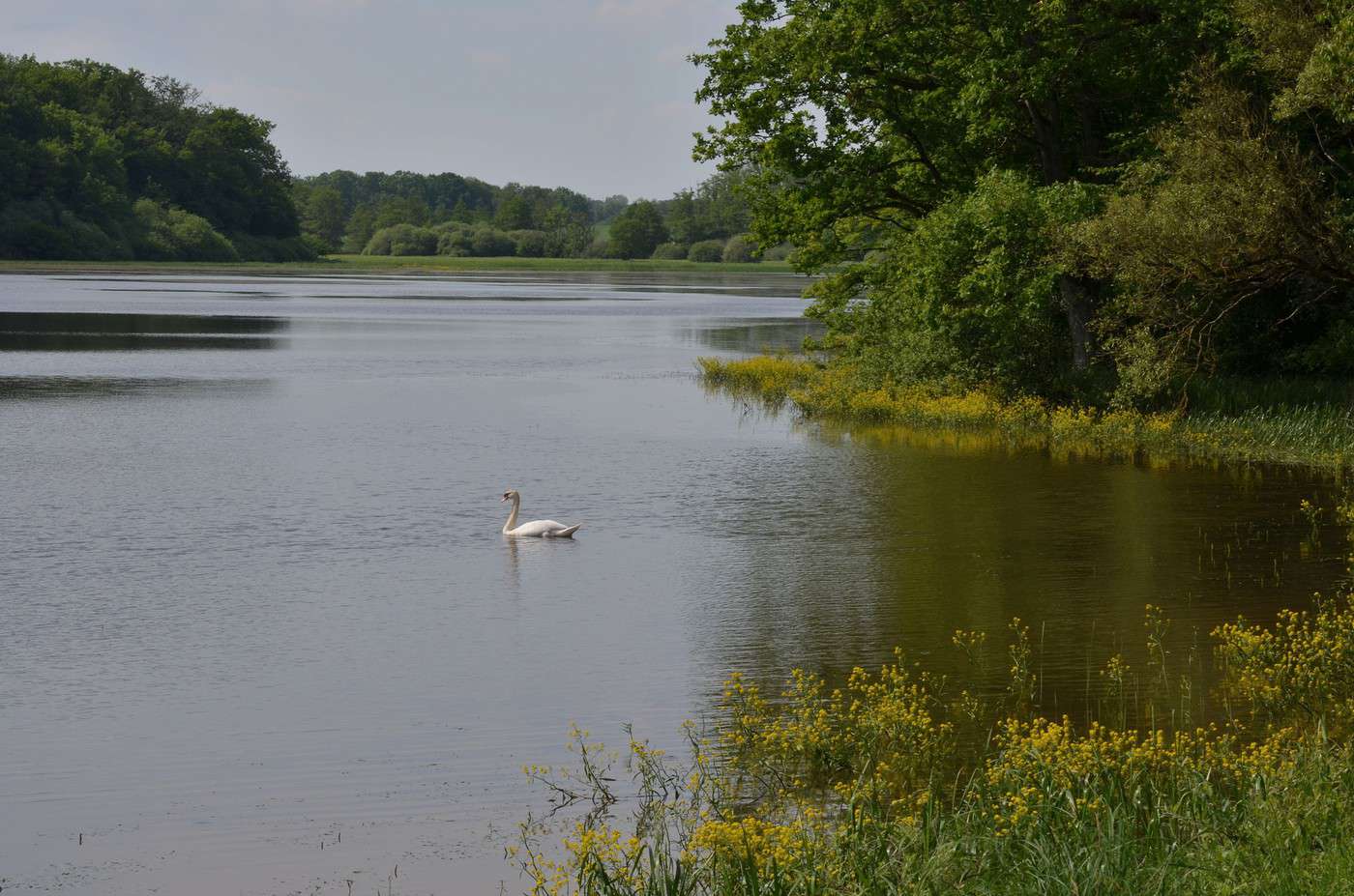 Pays des &eacute;tangs, Moselle, France