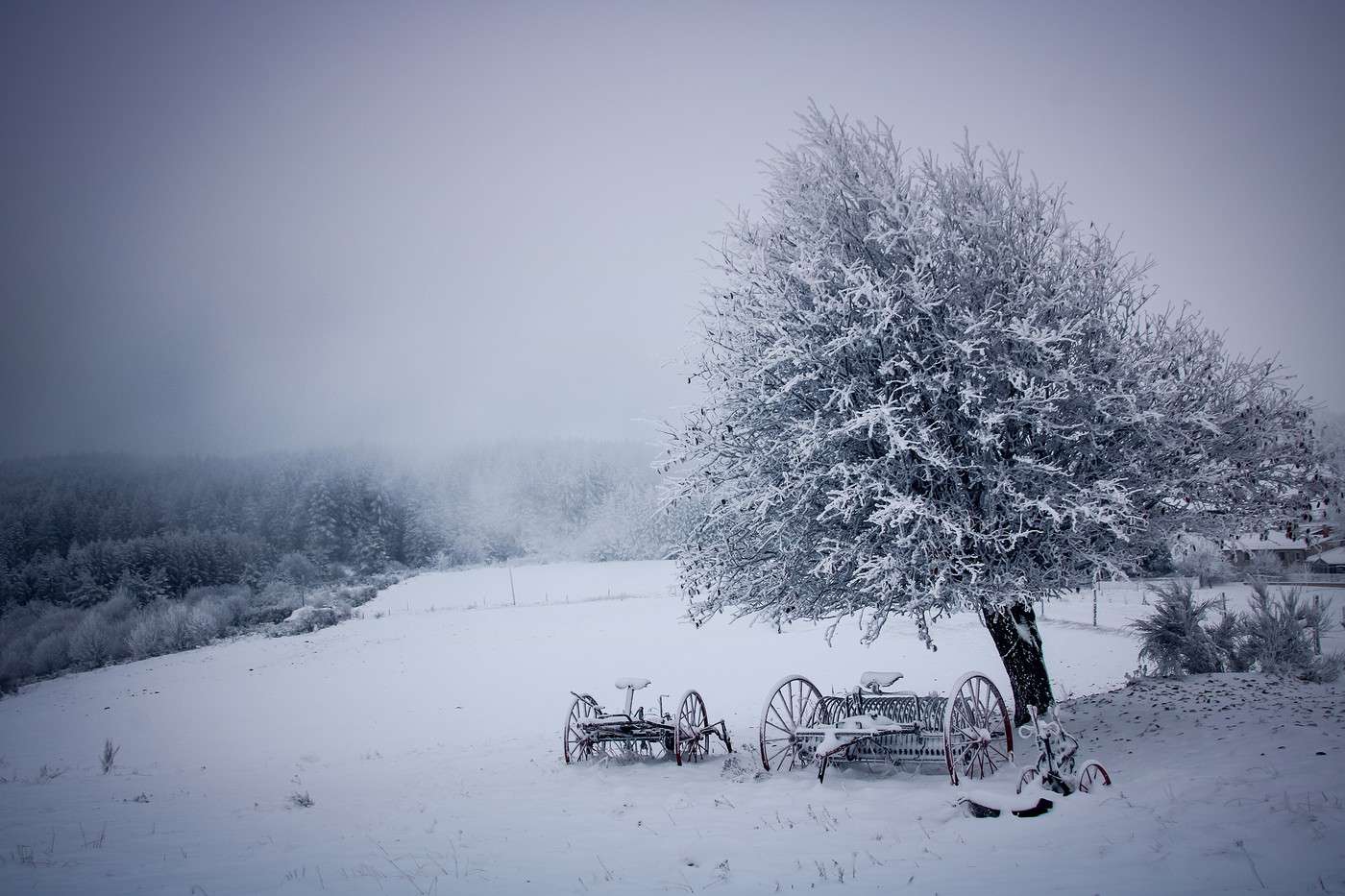 Parc naturel Livradois-Forez, Puy-de-Dôme, France