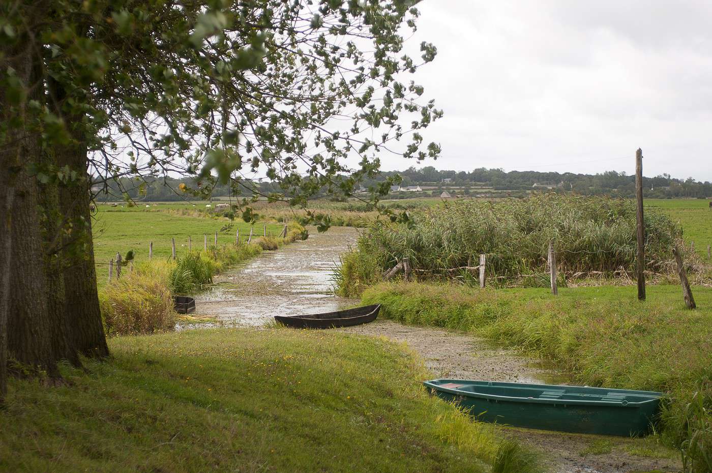 Parc naturel des marais du Cotentin, Manche, France