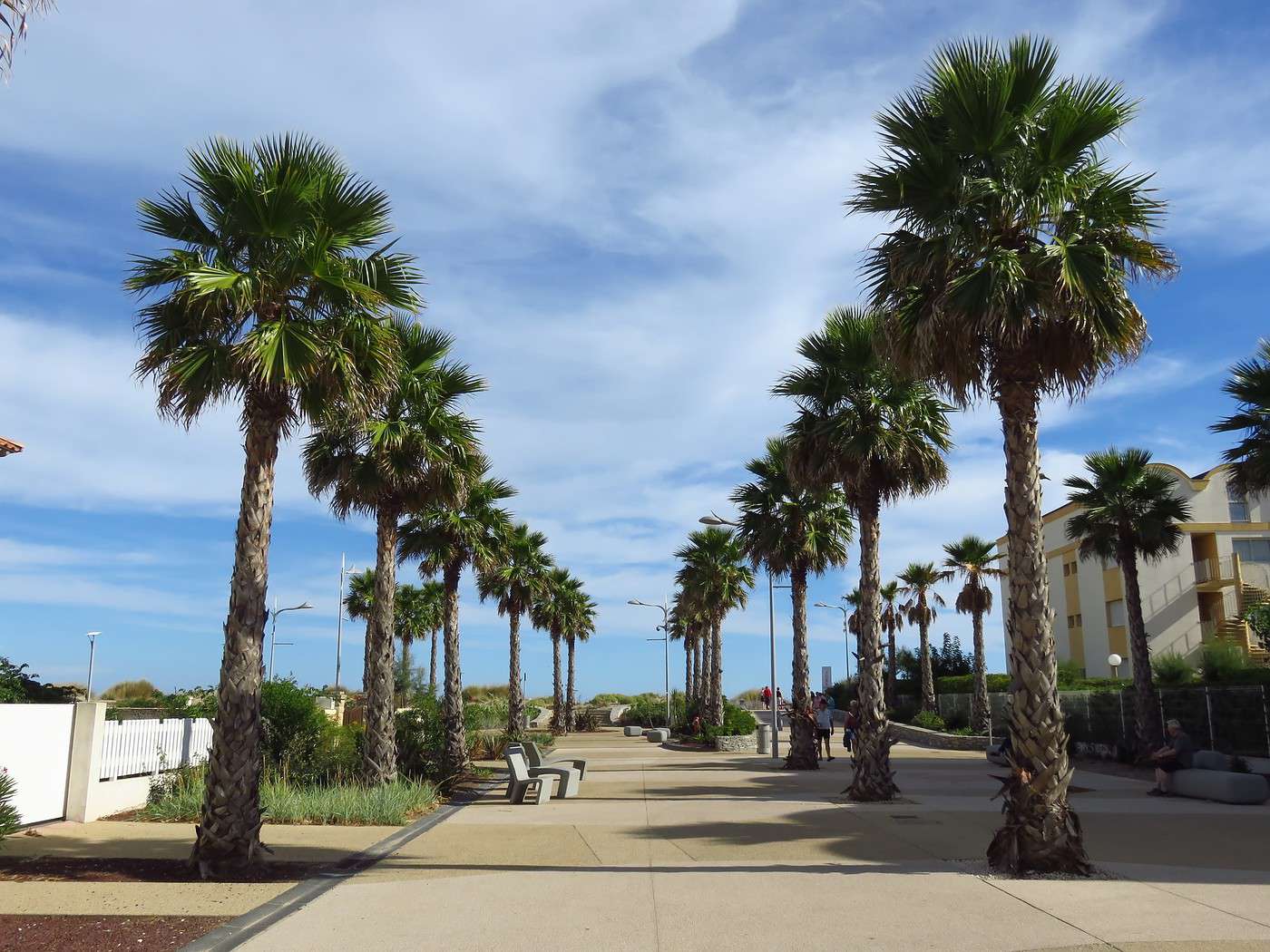 Marseillan, H&eacute;rault, France