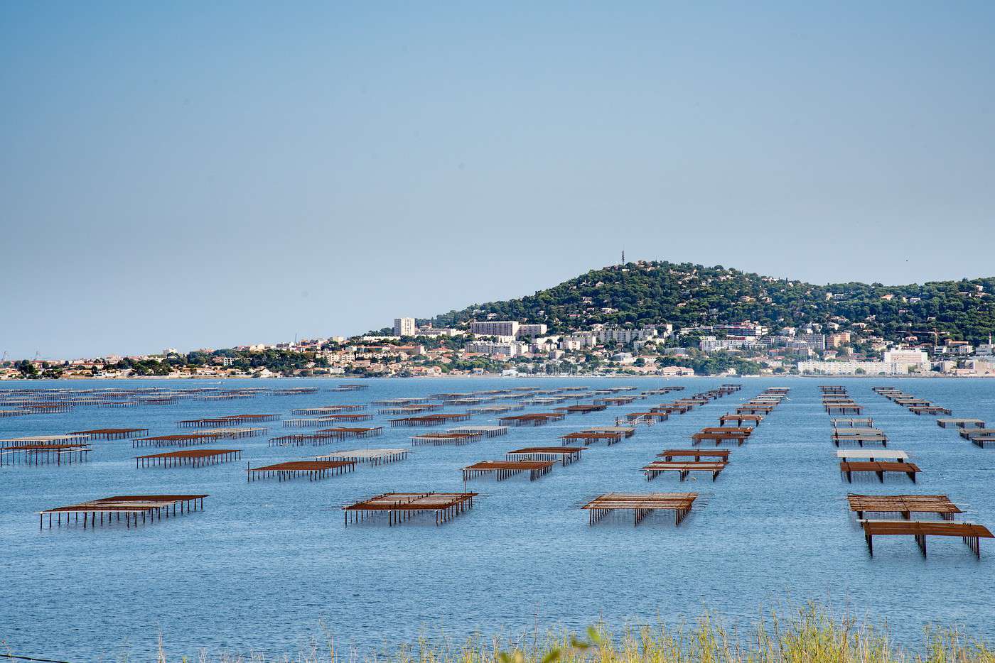 Étang de Thau, Hérault, France Étang de Thau, Hérault, France