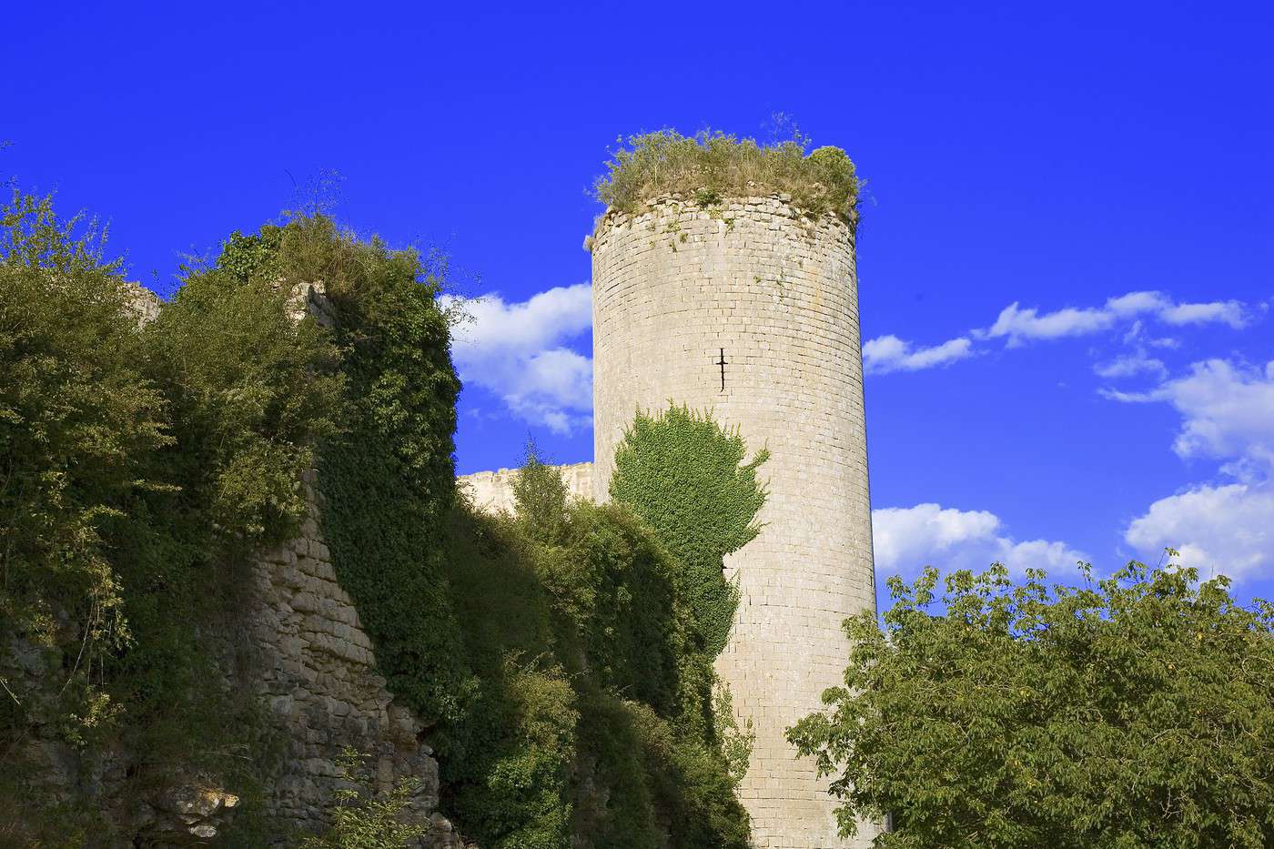 Ch&acirc;teau du Coudray-Salbart, Deux-S&egrave;vres, France