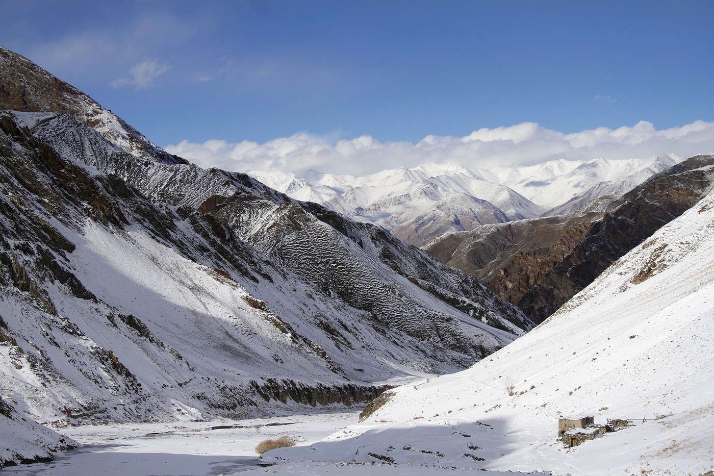 Parc national d'Hemis, Inde
