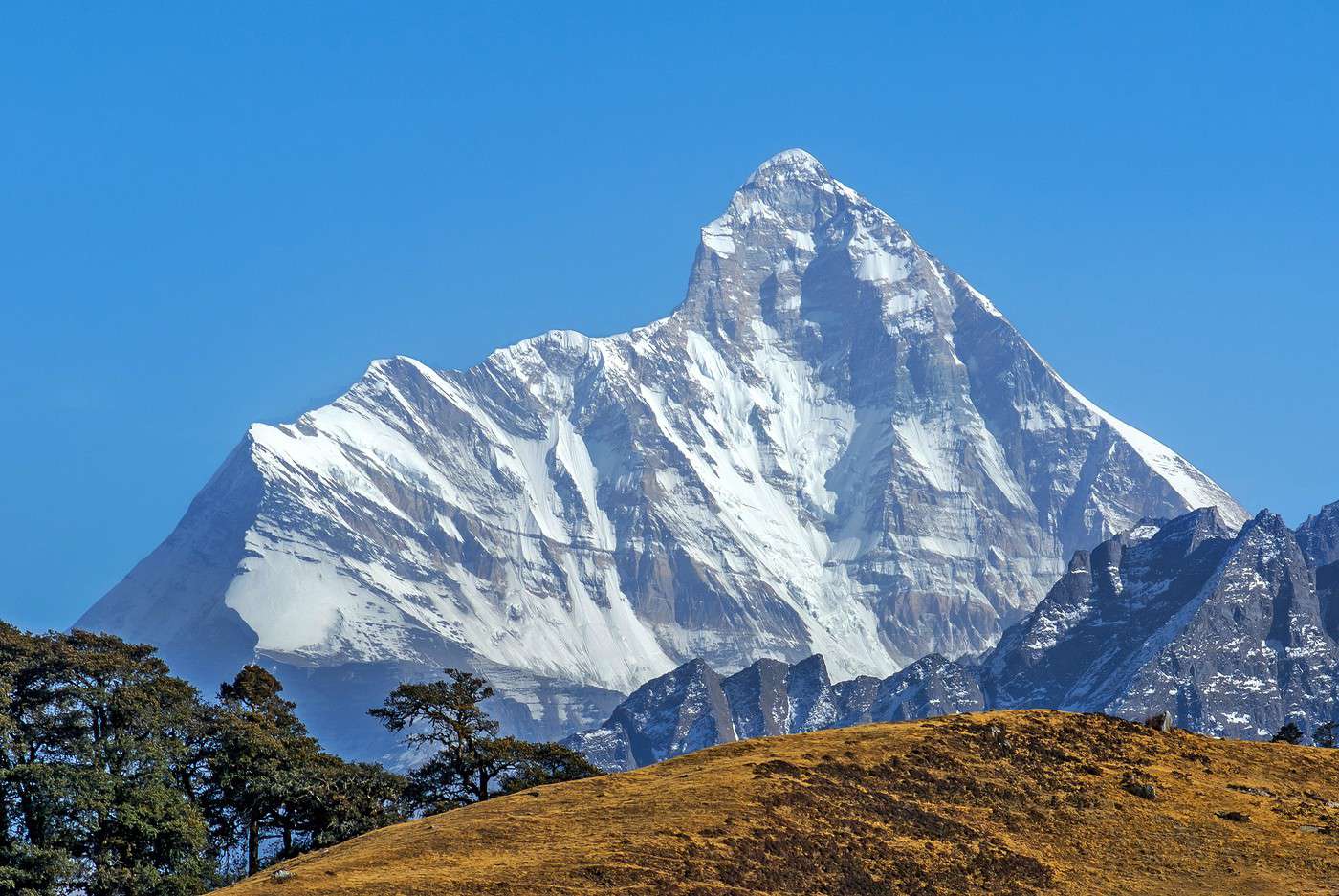 Parcs nationaux de Nanda Devi et de la vallée des fleurs, Inde