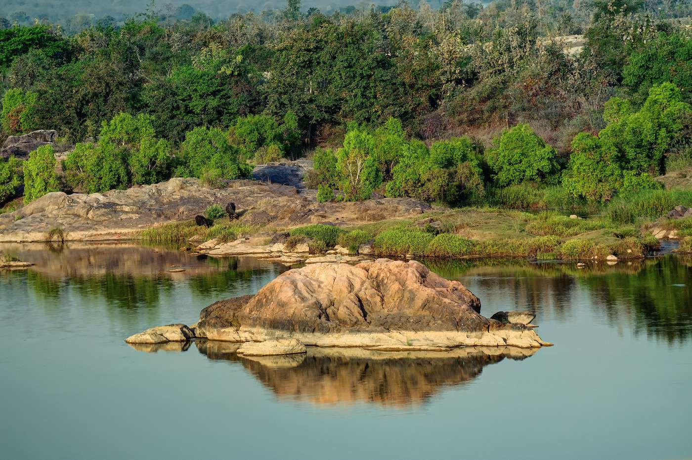 Parc national de Panna, Inde