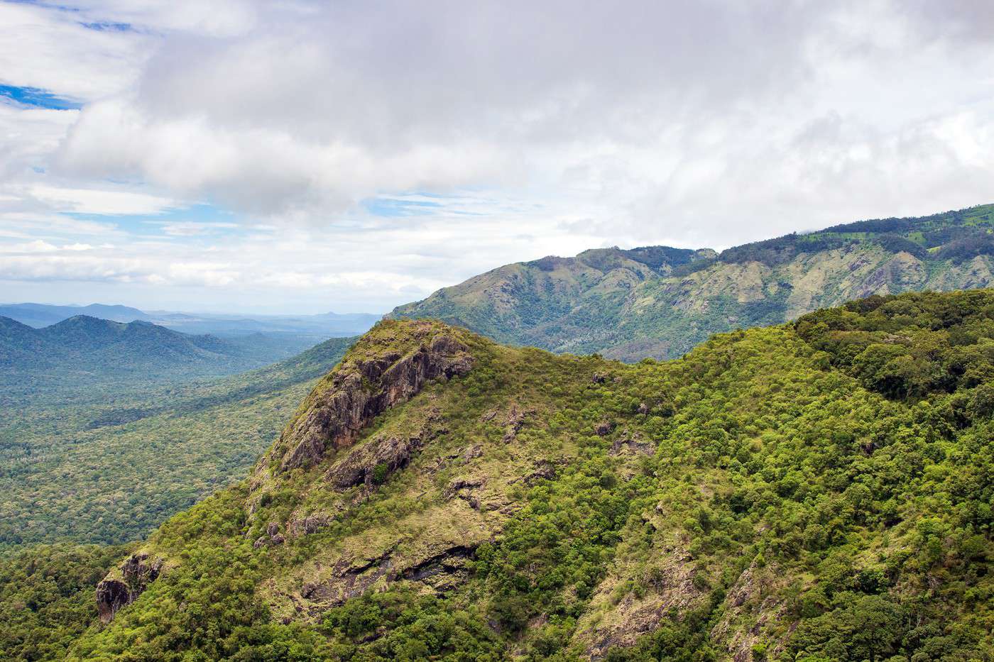 Parc national de Bandipur, Inde