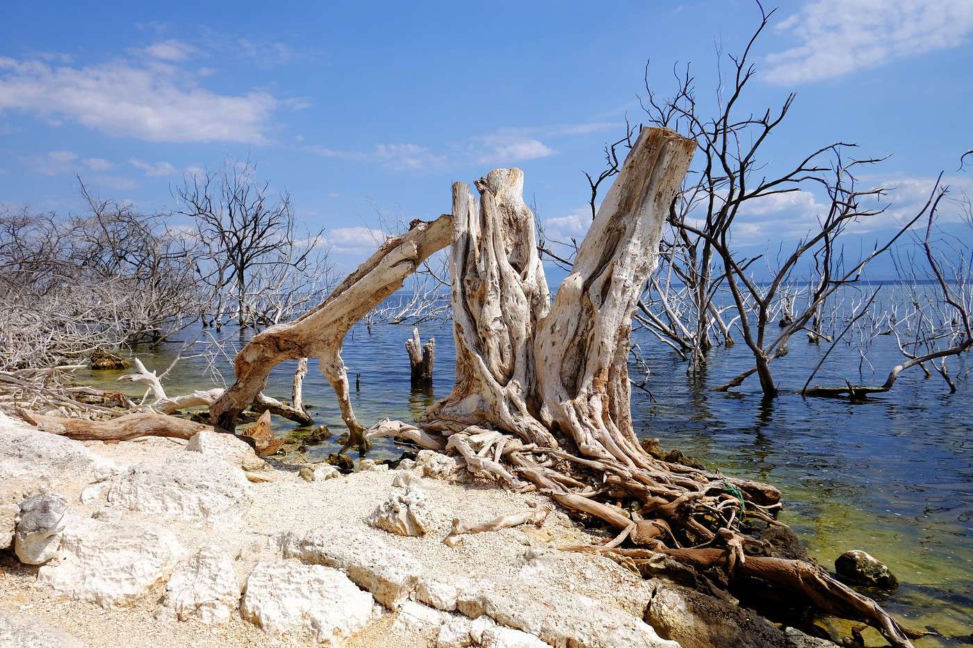 Lago Enriquillo, République Dominicaine