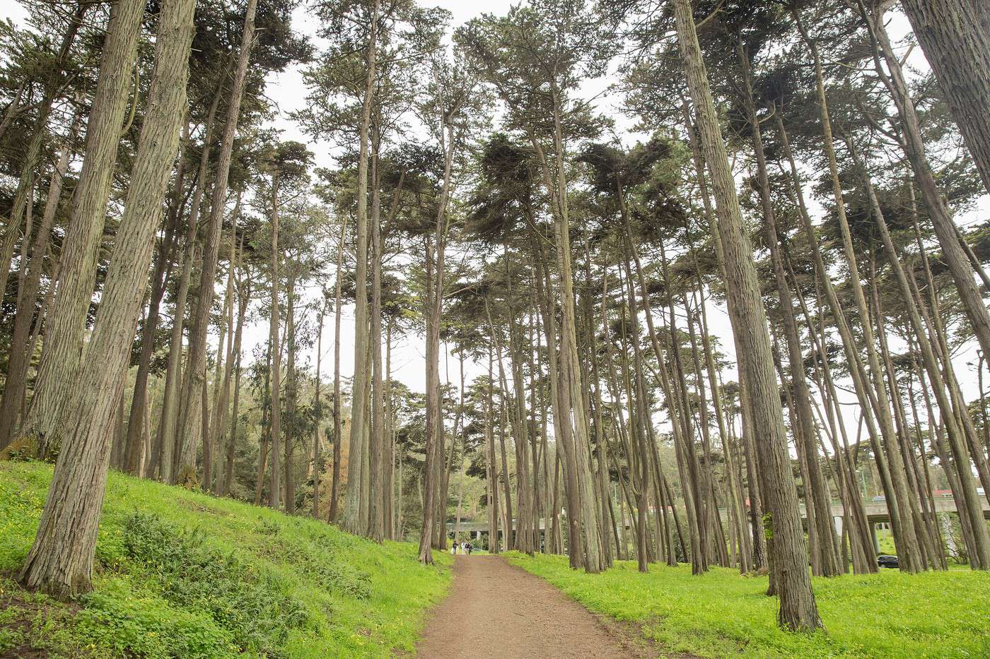 Presidio, San Francisco, Californie, États-Unis