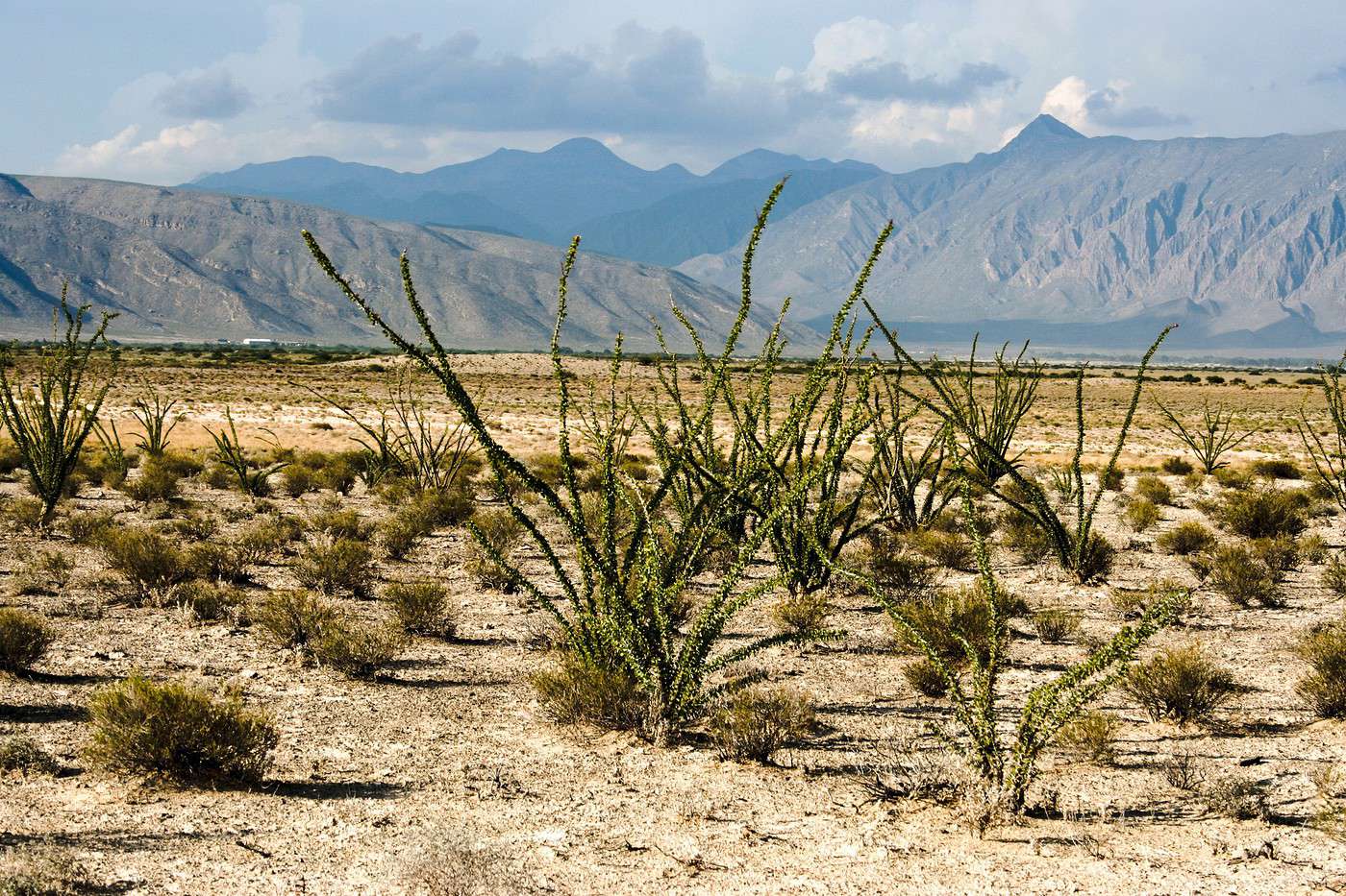 Cuatro Ci&eacute;negas, Mexique
