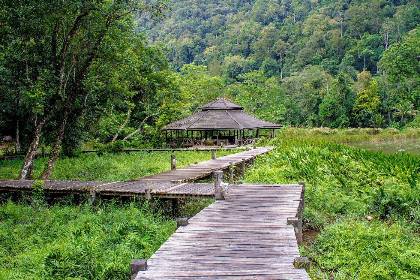 Parc national de Thale Ban, Tha&iuml;lande