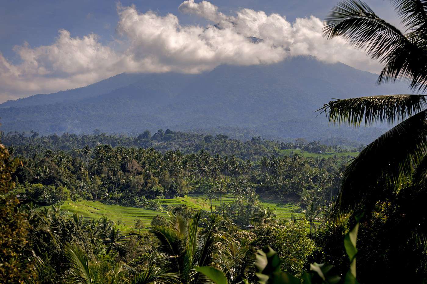 Mont Batukau, Indon&eacute;sie