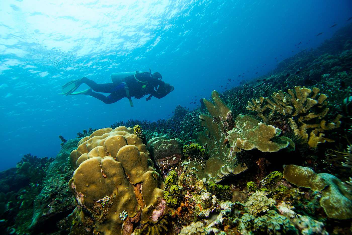 Halmahera, Indonésie