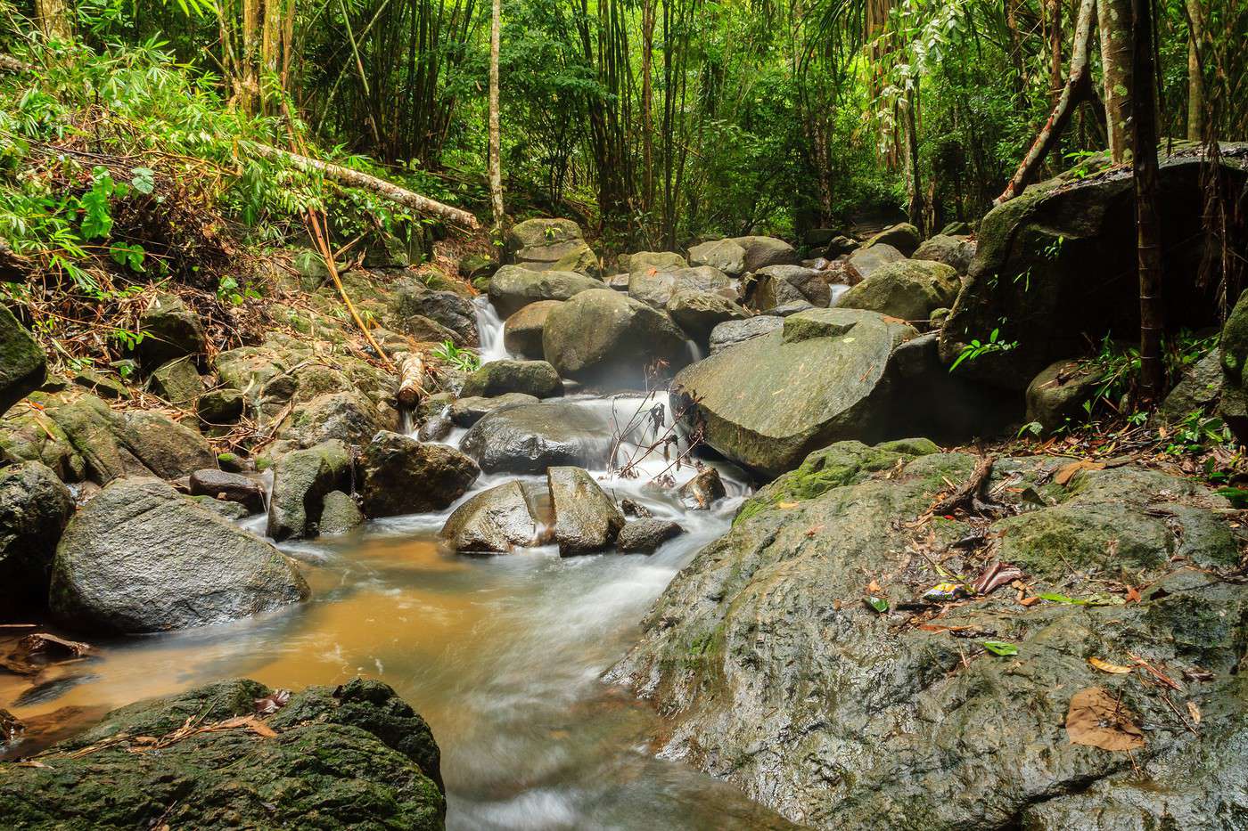 Khao Phra Thaeo Wildlife Sanctuary, Tha&iuml;lande