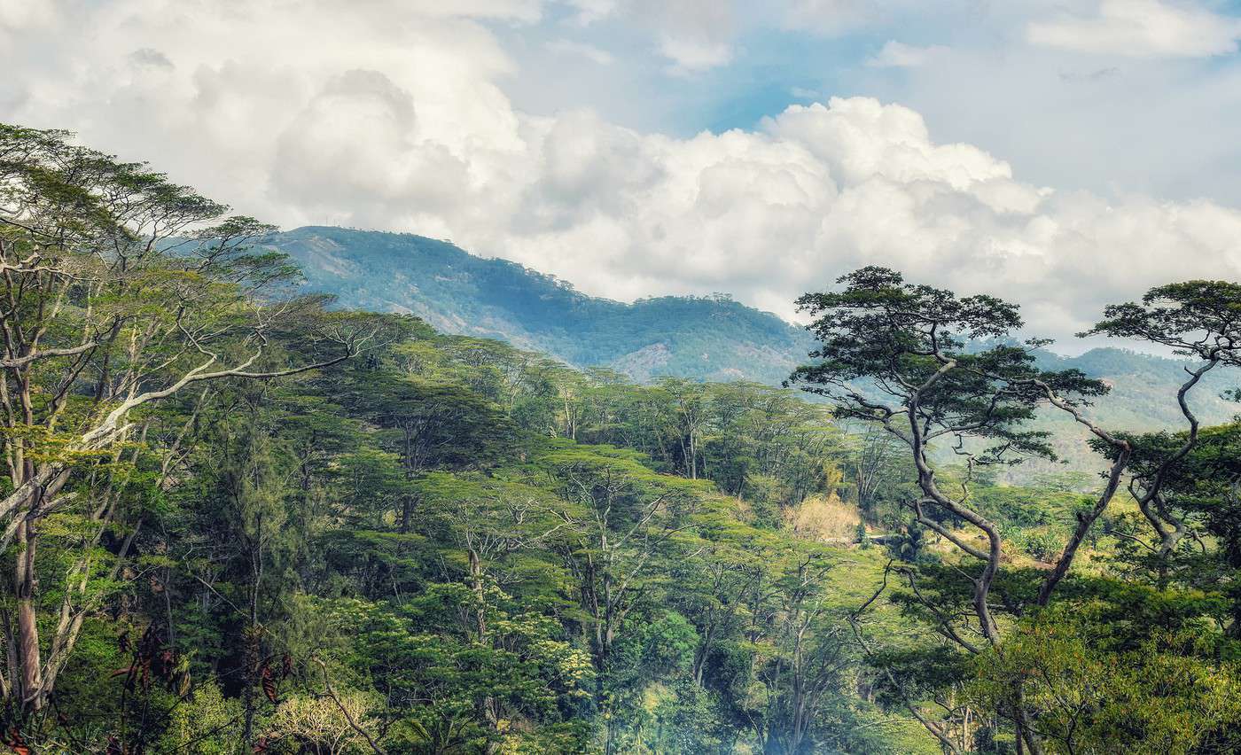 Timor Ouest, Indonésie Timor Ouest, Indonésie