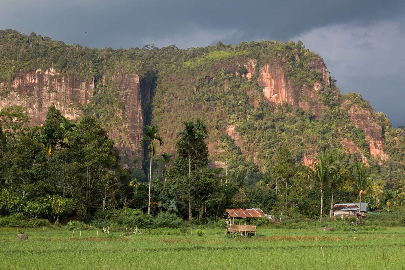 Vallée d'Harau, Indonésie