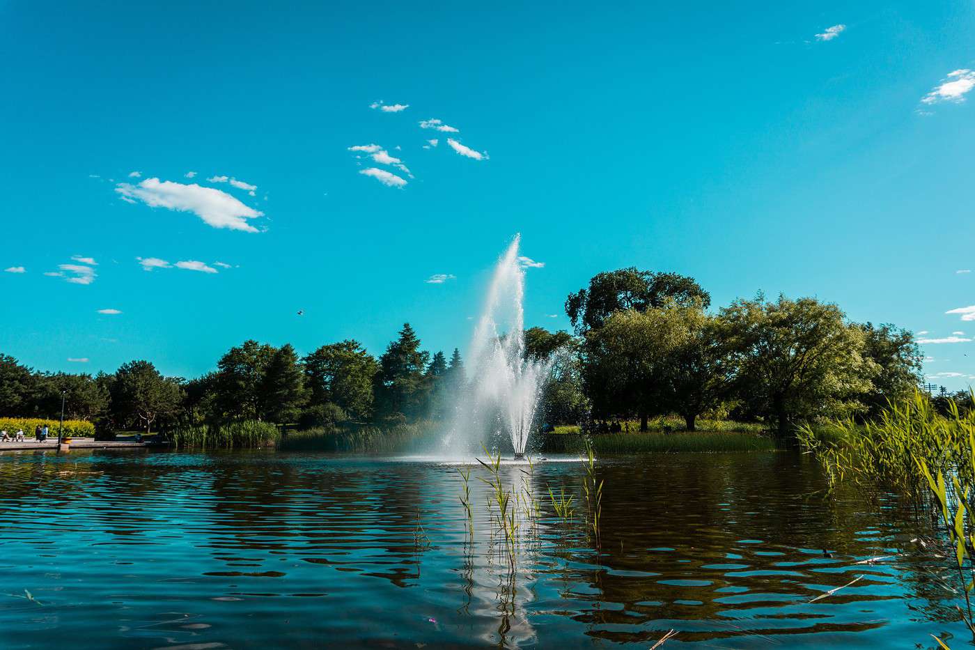Parc Jarry, Montr&eacute;al, Qu&eacute;bec, Canada