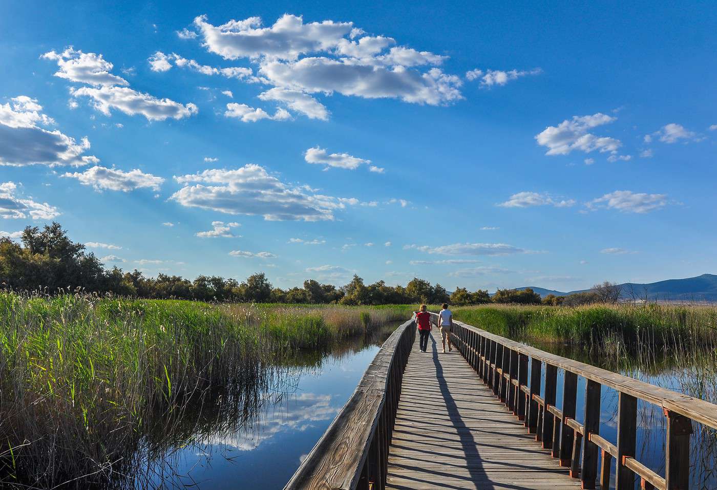 Parc national de Tablas de Daimiel, Espagne