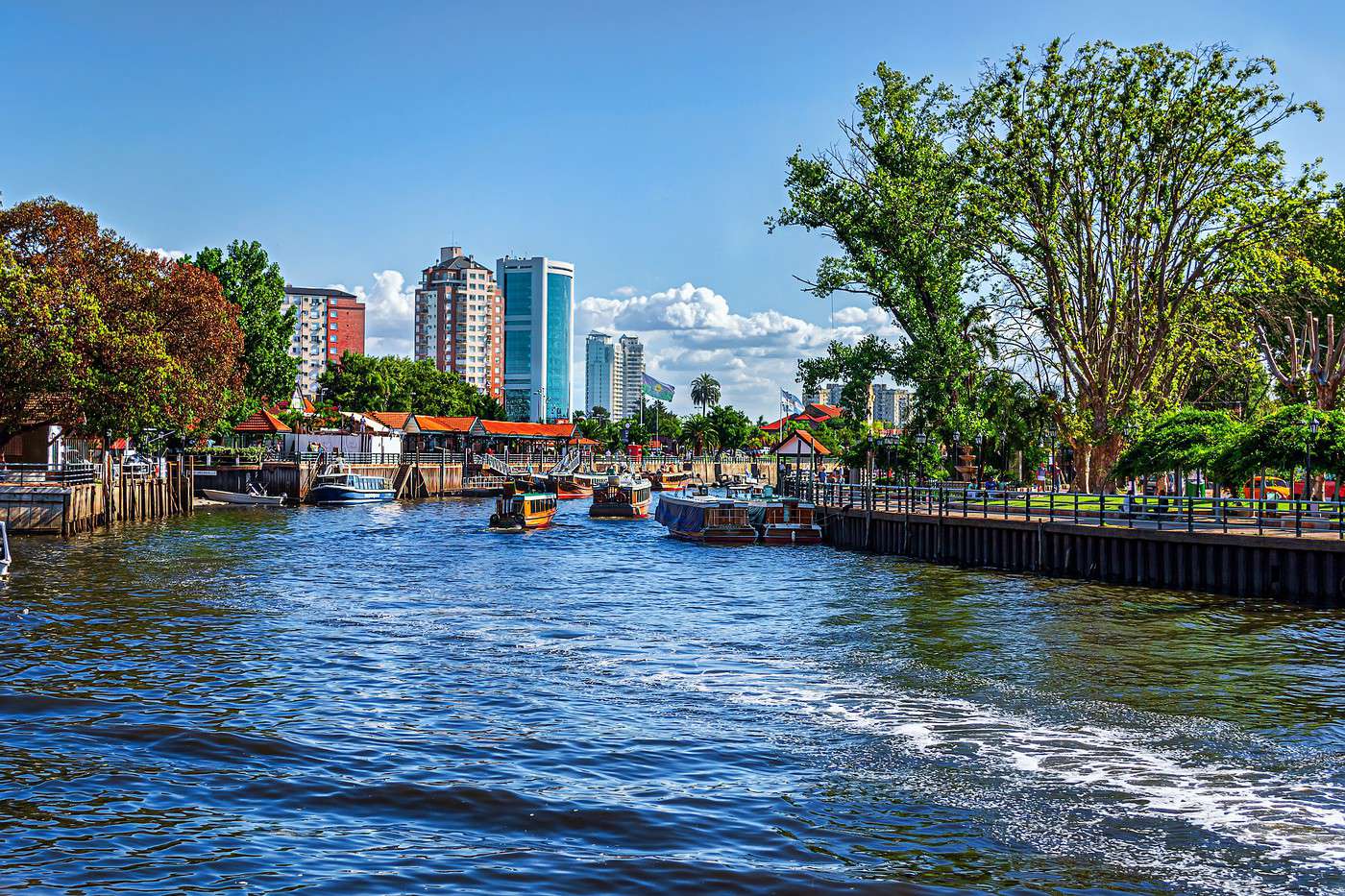 Tigre, Argentine