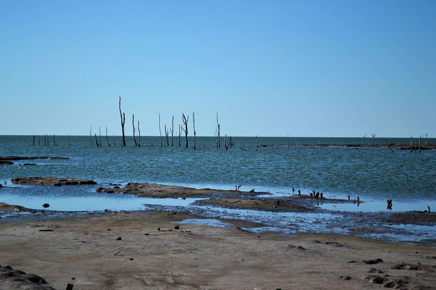 Mar Chiquita, Argentine