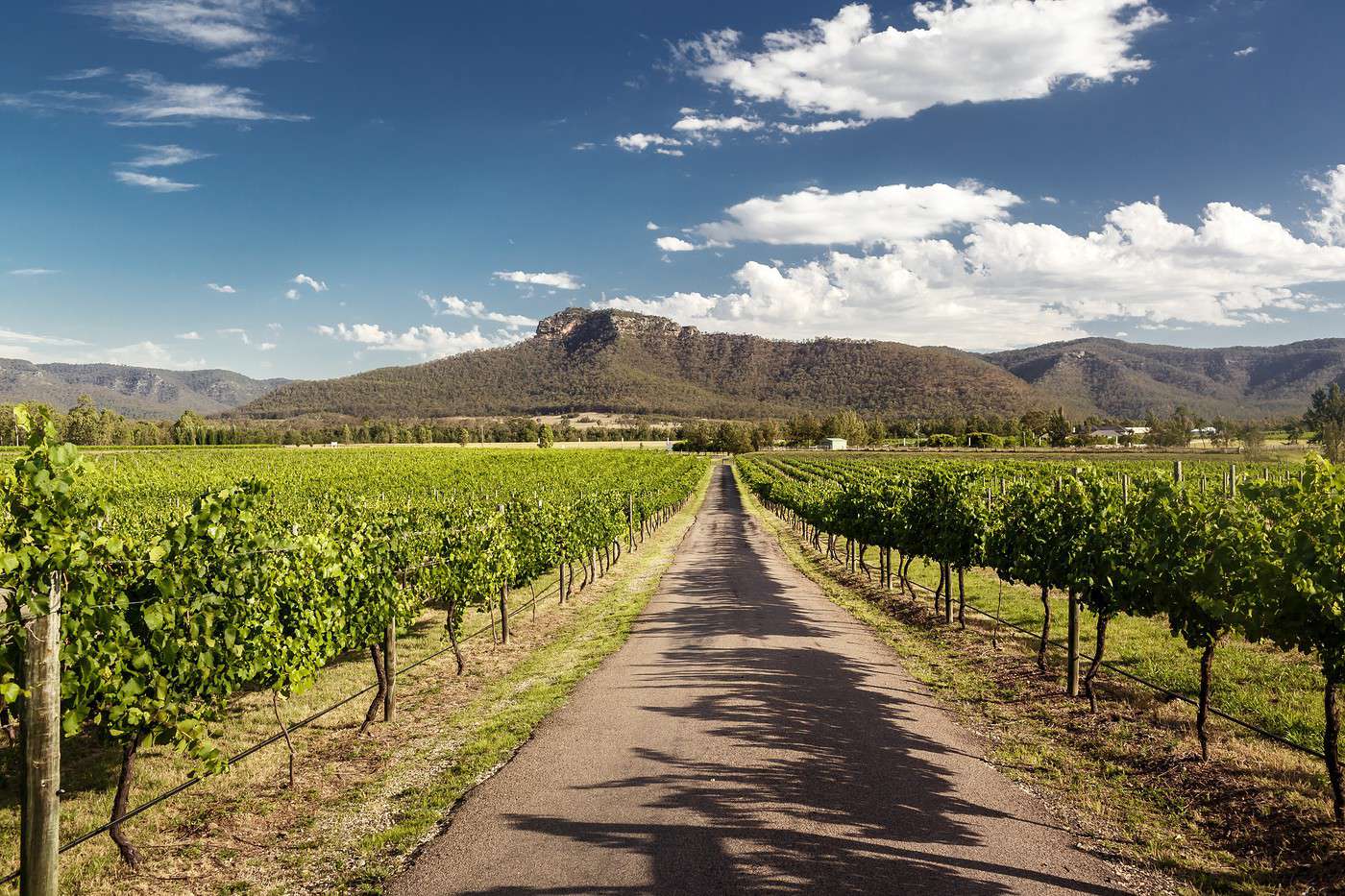 Hunter Valley, Australie