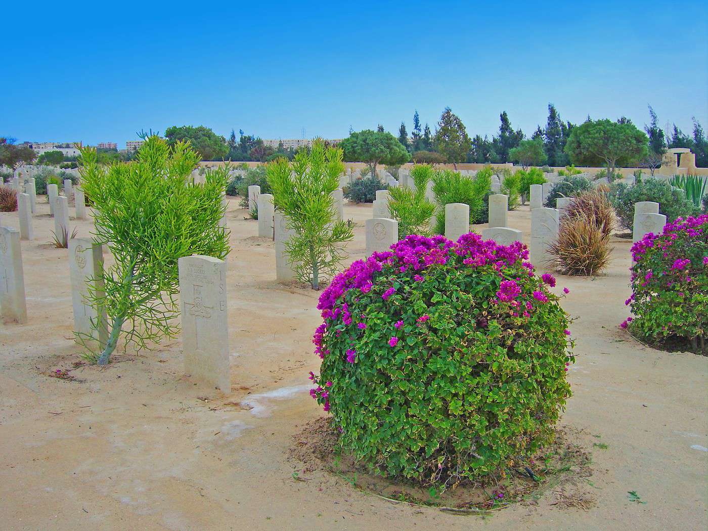 Cimeti&egrave;re militaire, El Alamein, &Eacute;gypte