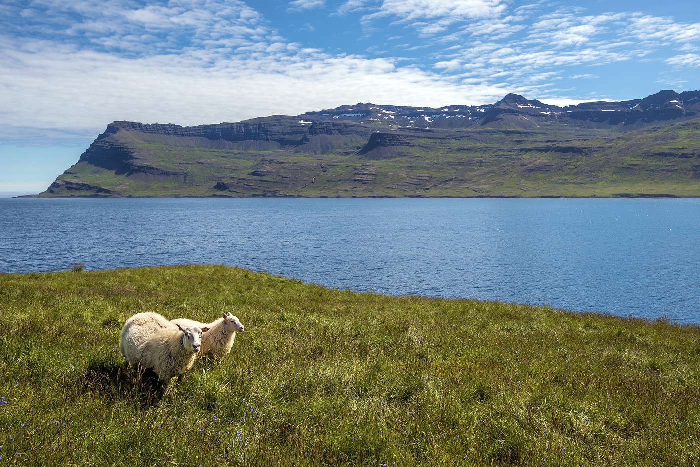 Mjoifjordur, Islande