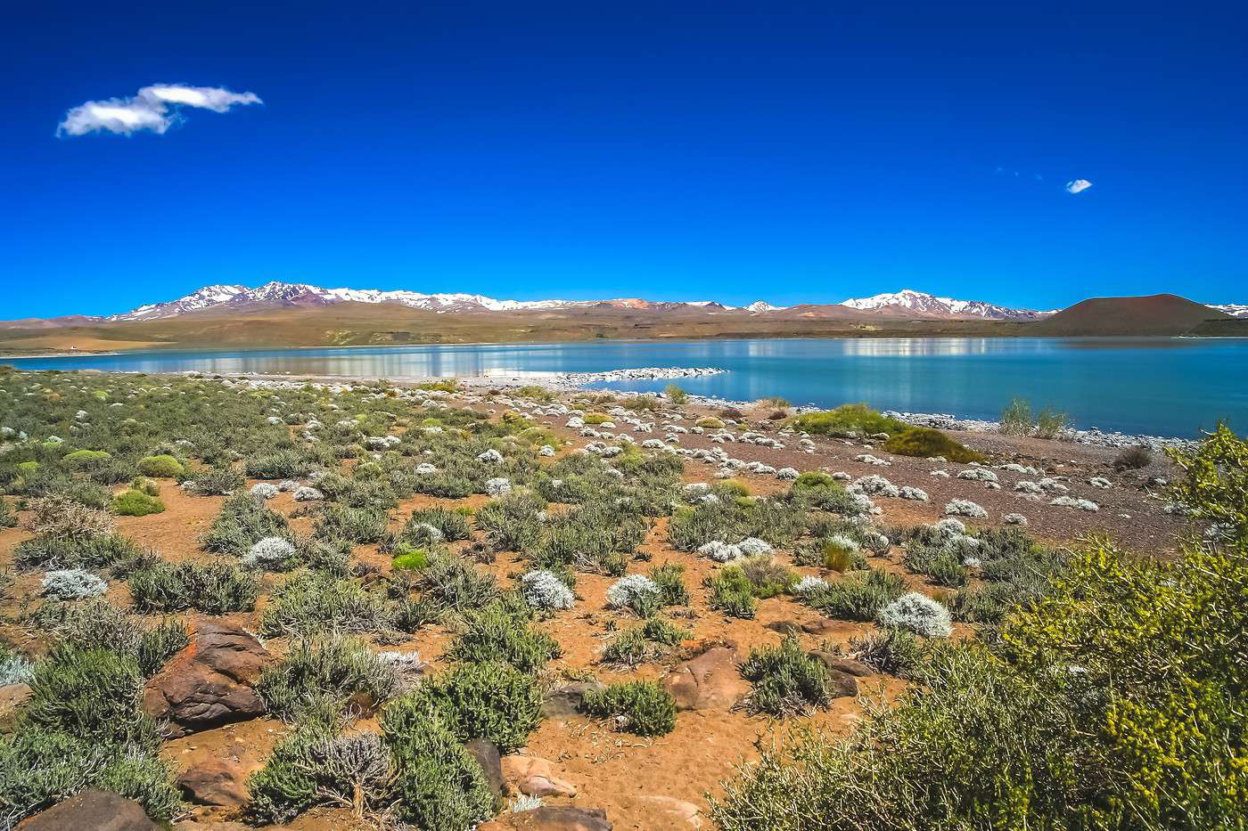 Parc national Laguna Blanca, Argentine