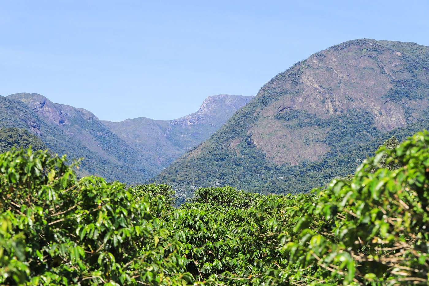 Parc national de Caparao, Br&eacute;sil