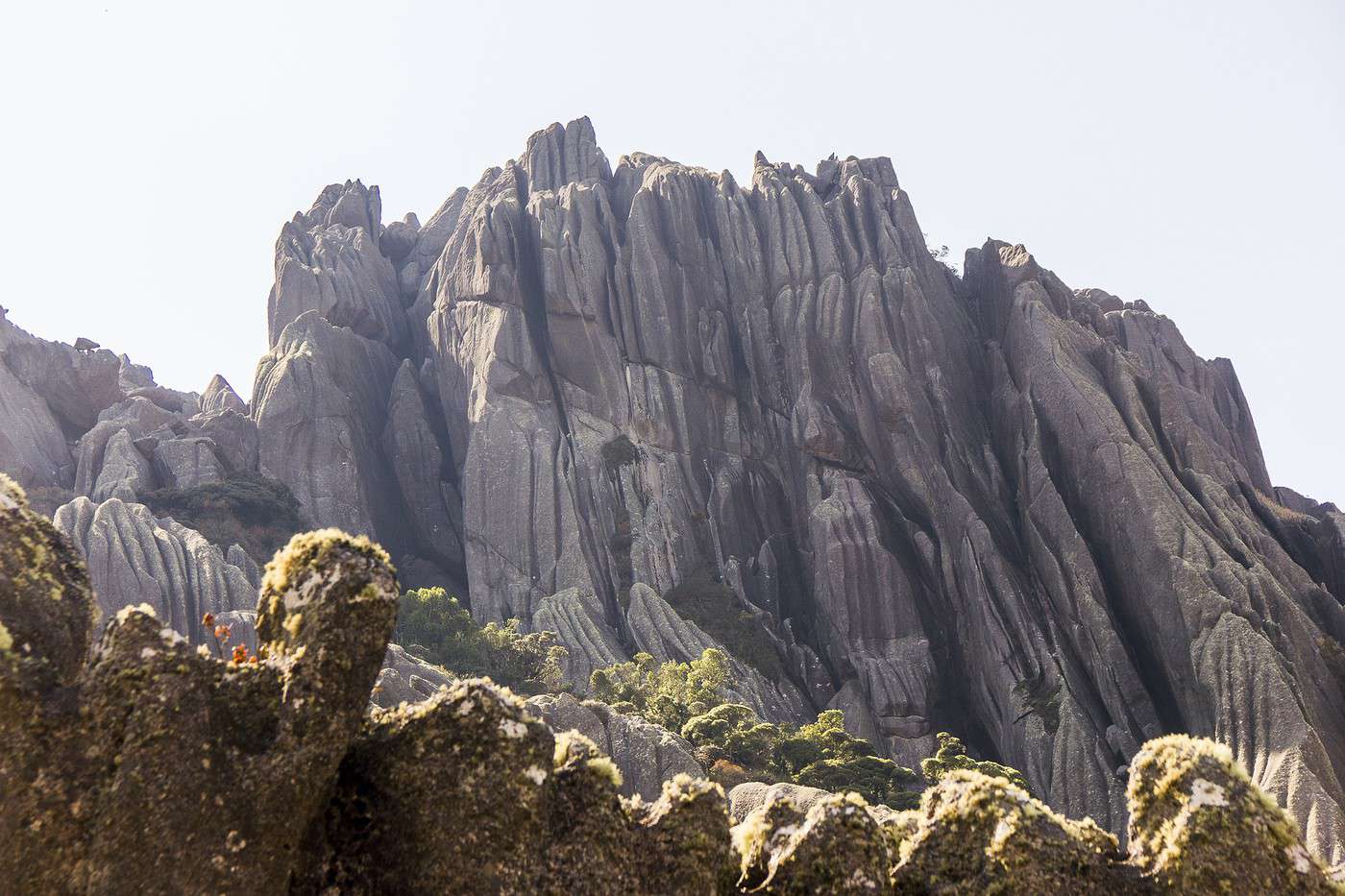 Parc national d'Itatiaia, Br&eacute;sil