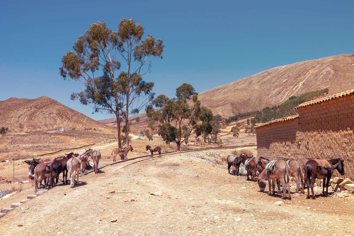 Tarabuco, Bolivie