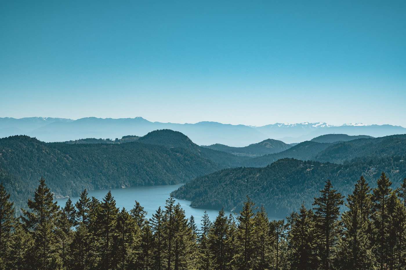 Île de Vancouver, Colombie-Britannique, Canada