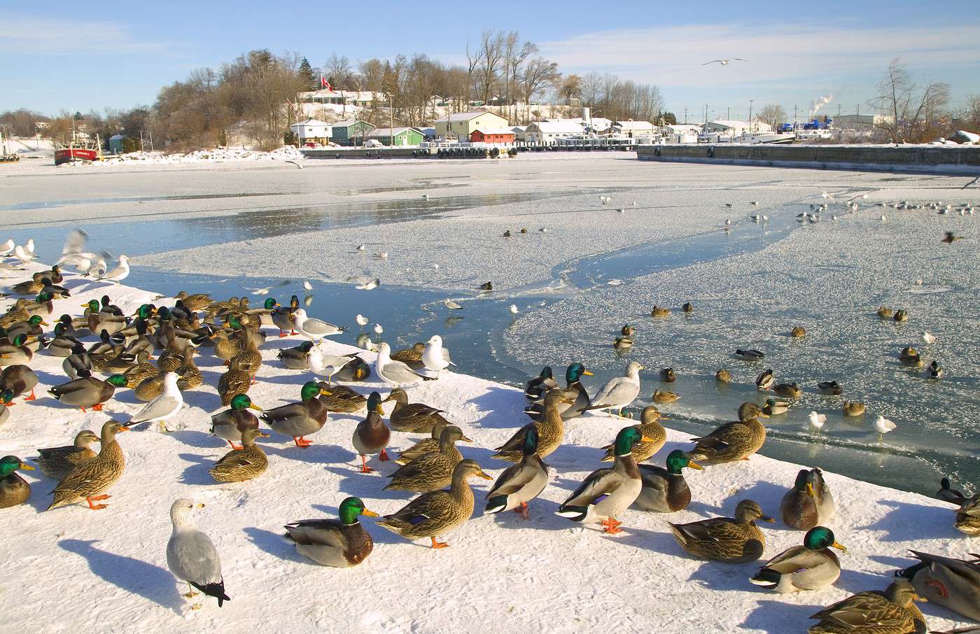Port Dover, Ontario, Canada