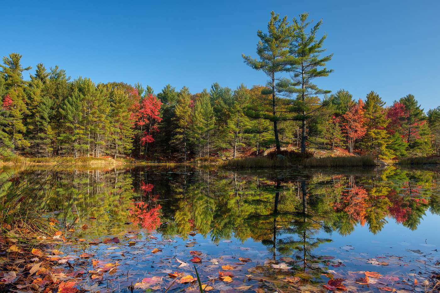 Lacs Kawartha, Ontario, Canada