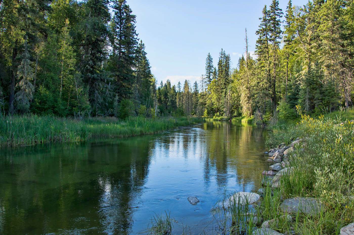 Parc national de Prince Albert, Saskatchewan, Canada