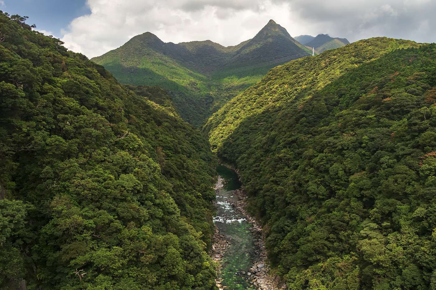 &Icirc;le de Yakushima, Japon