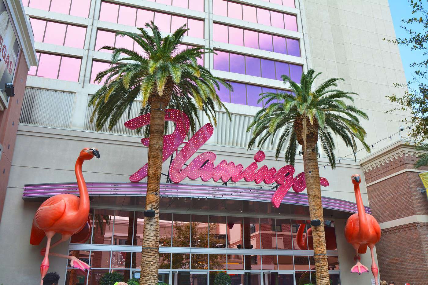 Flamingo, Las Vegas, Nevada, États-Unis