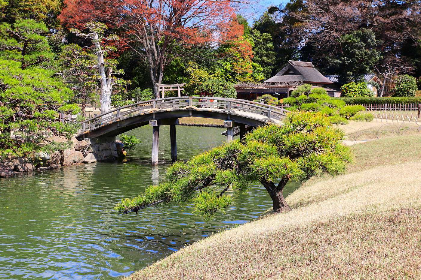 Koishikawa Korakuen garden, Okayama, Japon