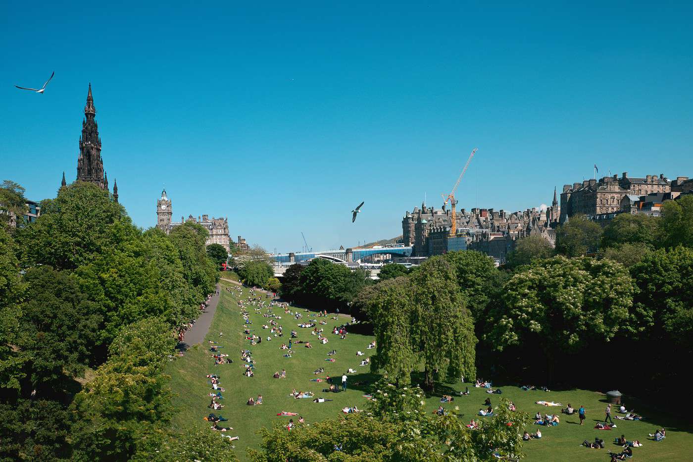 Jardins de Princes Street, Edimbourg, Grande Bretagne Jardins de Princes Street, Edimbourg, Grande Bretagne